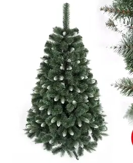 Vánoční dekorace  Vánoční stromek NORY 180 cm borovice 