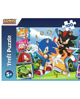 Puzzle Trefl Puzzle Sonic Seznamte se s ježkem, 100 dílků