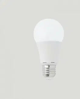LED žárovky FARO LED žárovka E27 STANDARD 10W 2700K DIM
