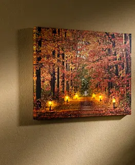 Svíčky a světelné dekorace LED obraz "Podzimní les"