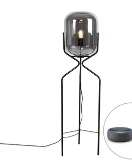 Stojaci lampy Chytrá stojací lampa černá včetně kouřového skla WiFi A60 - Bliss