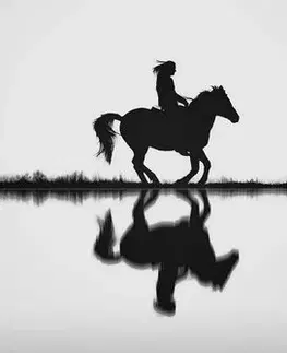 Černobílé obrazy Obraz jezdec na koni v černobílém provedení