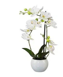 Květiny Umělá Orchidej v květináči, 42 cm