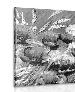 Černobílé obrazy Obraz malované polní máky v černobílém provedení