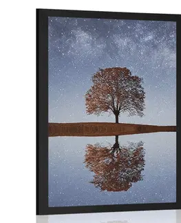 Příroda Plakát hvězdná obloha nad osamělým stromem