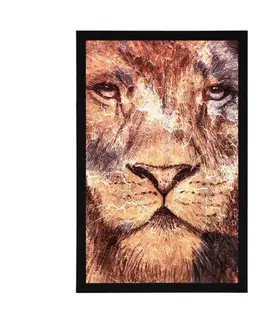 Zvířata Plakát tvář lva