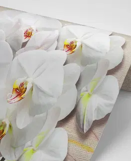 Samolepící tapety Samolepící tapeta bílá orchidej na plátně