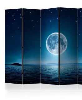 Paravány Paraván Moonlit night Dekorhome 225x172 cm (5-dílný)