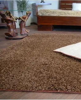 Koberce a koberečky Dywany Lusczow Kusový koberec SHAGGY Izebelie 5cm hnědý, velikost 80x150