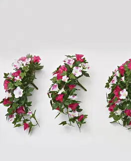 Květinové dekorace Kytice muškátů