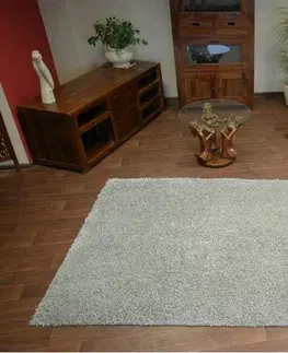 Koberce a koberečky Dywany Lusczow Kusový koberec SHAGGY Izebelie 5cm šedý, velikost 100x200