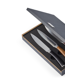 Kuchyňské nože SET 4ks steakových nožů GARRY, Philippi