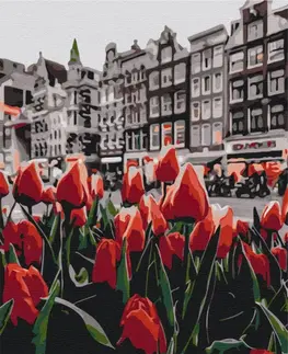 Města Malování podle čísel tulipány v Amsterdamu