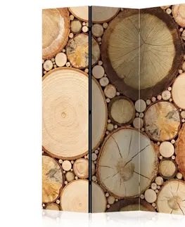 Paravány Paraván Wood grains Dekorhome 135x172 cm (3-dílný)