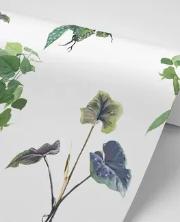 Samolepící tapety Samolepící tapeta půvabné zelené listy