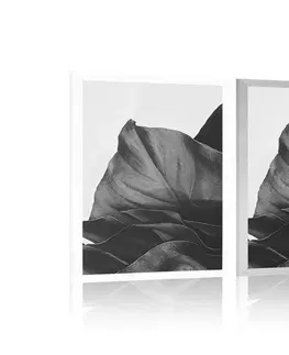 Květiny Plakát okouzlující dopis monstery v černobílém provedení