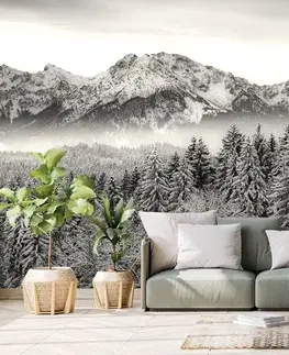 Černobílé tapety Fototapeta černobílé zmrzlé hory