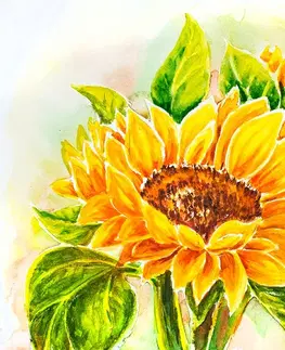 Samolepící tapety Samolepící tapeta nádherná slunečnice