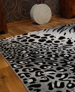 Koberce a koberečky Dywany Lusczow Kusový koberec BCF FLASH 33282/155, velikost 160x225