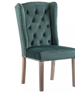 Židle Jídelní židle samet / kaučukovník Dekorhome Zelená