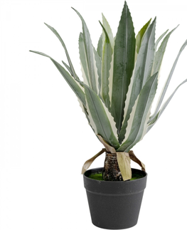 Umělé rostliny KARE Design Dekorativní rostlina Agave 50cm