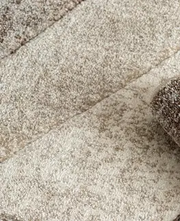 Koberce a koberečky Dywany Lusczow Kusový koberec FEEL Fish béžový, velikost 120x170