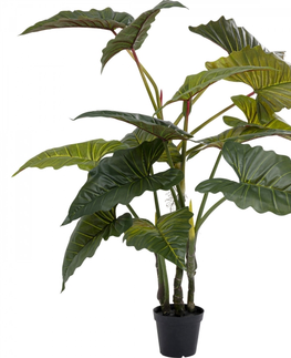 Umělé rostliny KARE Design Dekorativní rostlina Taro 180cm