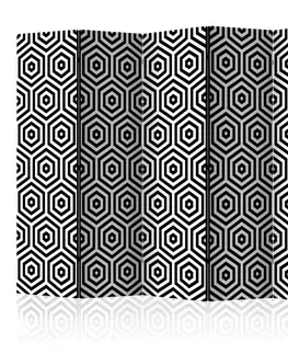 Paravány Paraván Black and White Hypnosis Dekorhome 135x172 cm (3-dílný)