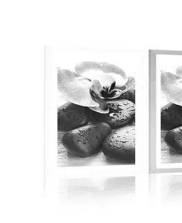 Černobílé Plakát s paspartou krásná souhra kamenů a orchideje v černobílém provedení