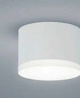 Stropní svítidla Helestra Helestra Pala podhledové LED downlight bílá
