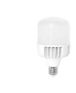 Žárovky  LED Žárovka E40/50W/230V 5000K -  