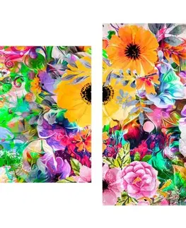 Obrazy květů 5-dílný obraz pestrobarevné květiny