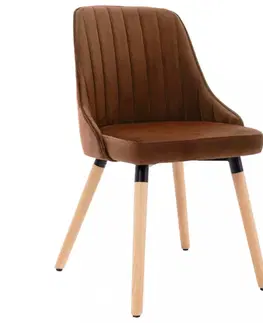 Židle Jídelní židle 2 ks samet / buk Dekorhome Světle šedá