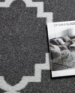Koberce a koberečky Dywany Lusczow Kusový koberec SKETCH Danny šedý /bílý trellis, velikost 240x330