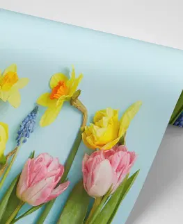 Samolepící tapety Samolepící fototapeta jarní květinová kompozice