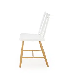 Židle Jídelní židle K419 Halmar