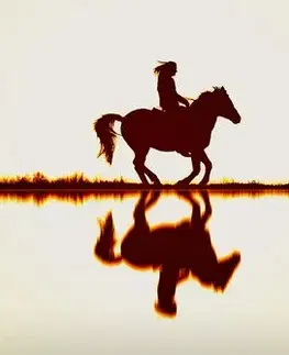 Obrazy zvířat Obraz jezdec na koni
