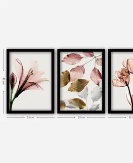 Obrazy Hanah Home Sada obrazů Růžové květy 35x45 cm 3 ks
