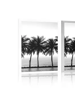 Černobílé Plakát západ slunce nad palmami v černobílém provedení