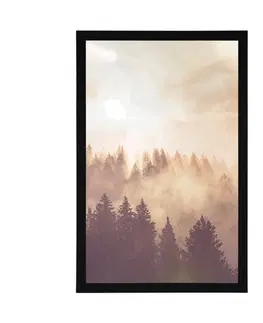 Příroda Plakát mlha nad lesem