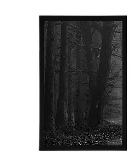 Černobílé Plakát těsta v lese v černobílém provedení