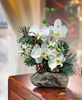 Květinové dekorace Aranžmá z orchidejí, bílá