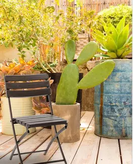 Zahradní židle a křesla Garden Line Skládací zahradní židle DITA hnědá