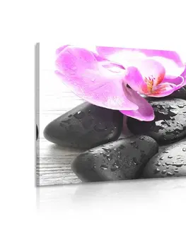 Obrazy Feng Shui Obraz kouzelná souhra kamenů a orchideje