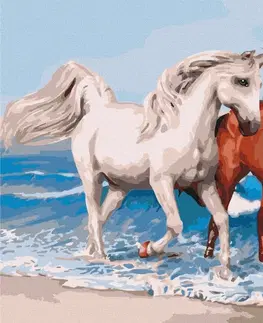 Zvířata Malování podle čísel cválající koně na pobřeží