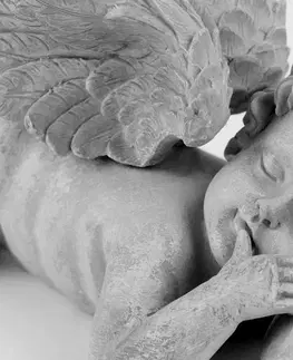 Černobílé obrazy Obraz černobílý spící andílek