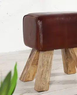 Stylové a luxusní taburety Estila Originální židle Bock II 45cm kůže