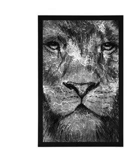 Černobílé Plakát tvář lva v černobílém provedení