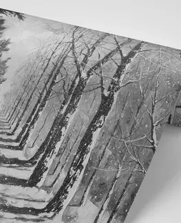 Samolepící tapety Samolepící tapeta podzimní černobílá alej stromů