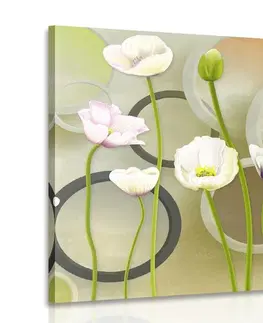 Obrazy květů Obraz bílé máky na abstraktním pozadí